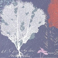 Coral on Blue Fine Art Print