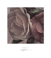 14" x 16" Rose Pictures