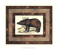 Rustic Bear Fine Art Print