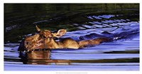 Bathing Beauty Fine Art Print