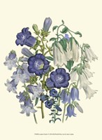 Florals I Fine Art Print