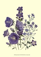 Florals II Fine Art Print