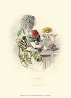 Le Fleur AnimT VII Fine Art Print