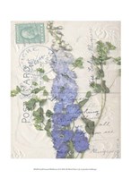 Small Postcard Wildflowers II by Jennifer Goldberger - 10" x 13"
