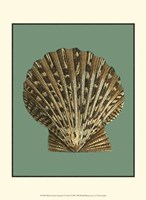 Mini Ocean's Treasure IV Fine Art Print