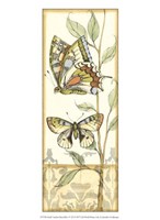 Small Tandem Butterflies IV Fine Art Print