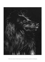 Canine Scratchboard VI Fine Art Print