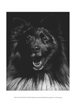 Canine Scratchboard IX Fine Art Print