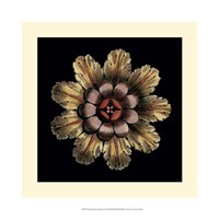 Small Classic Rosette II by Vision Studio - 13" x 13"