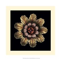 Small Classic Rosette II Fine Art Print