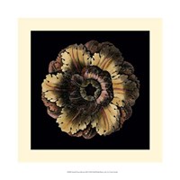 Small Classic Rosette III by Vision Studio - 13" x 13"