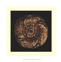 Small Classic Rosette IV by Vision Studio - 13" x 13"