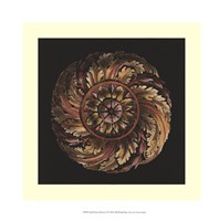 Small Classic Rosette IV Fine Art Print