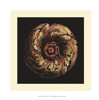 Small Classic Rosette V Fine Art Print