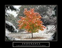 Endurance - Fall Tree Fine Art Print