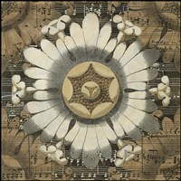 Rosette Detail V Fine Art Print