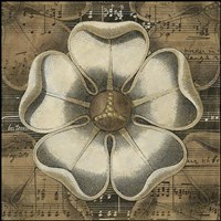 Rosette Detail VI Fine Art Print