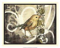Bird Song I Fine Art Print