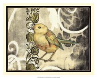 Bird Song II Fine Art Print