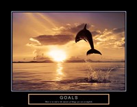 Goals - Dolphins Fine Art Print