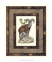 Rustic Big Horn Fine Art Print