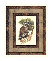 Rustic Raccoon Fine Art Print