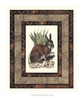 Rustic Rabbit Fine Art Print