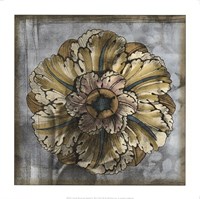 Rosette & Damask IV Fine Art Print