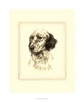 Setter Fine Art Print