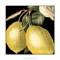Dramatic Lemon Framed Print