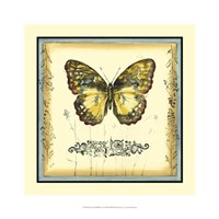 Butterfly and Wildflowers II Framed Print