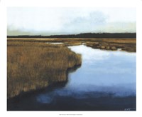 Wet Lands I Framed Print
