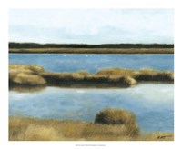 Wet Lands II Framed Print