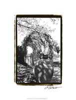 Garden Grace IV Fine Art Print