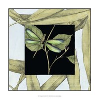 Dragonfly Inset I Fine Art Print