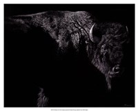 Enduring Fine Art Print