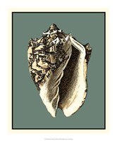 Ocean's Treasure I Fine Art Print