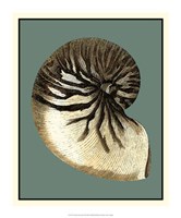 Ocean's Treasure III Fine Art Print