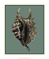 Ocean's Treasure V Fine Art Print