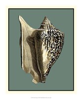 Ocean's Treasure VI Fine Art Print