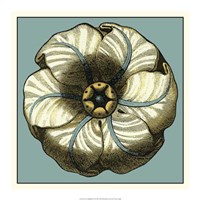 Floral Medallion IV by Vision Studio - 18" x 18"