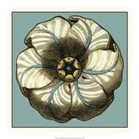 Floral Medallion IV Fine Art Print