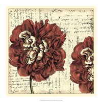 Vintage Composition I Fine Art Print