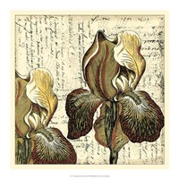 Vintage Composition III Fine Art Print