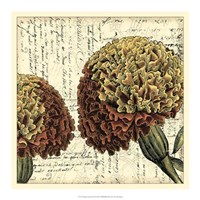 Vintage Composition IV Fine Art Print