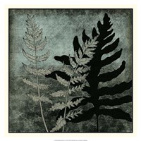 Illuminated Ferns I Fine Art Print