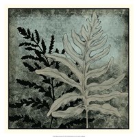 Illuminated Ferns II Fine Art Print