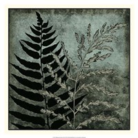 Illuminated Ferns III Fine Art Print