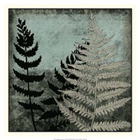 Illuminated Ferns V Fine Art Print