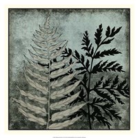 Illuminated Ferns VI Fine Art Print